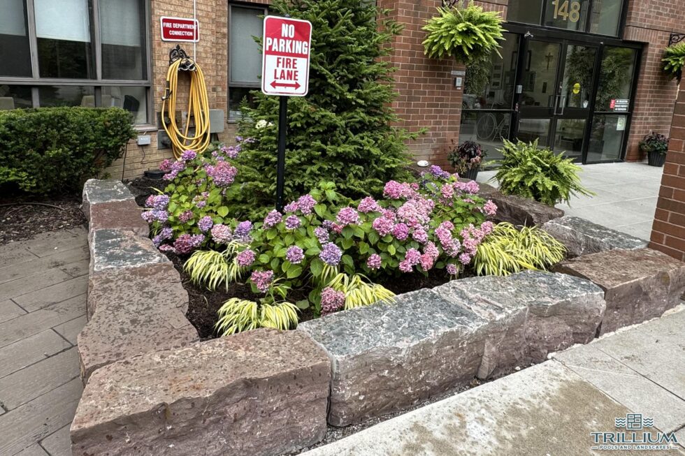 Trillium Pools and Landscapes - Pool and Patio