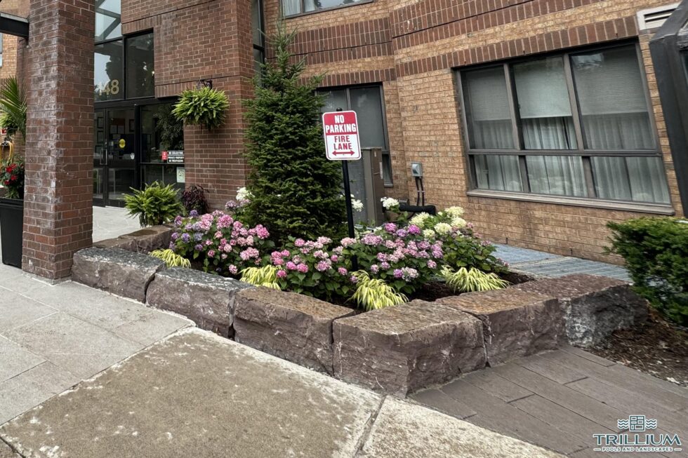 Trillium Pools and Landscapes - Pool and Patio