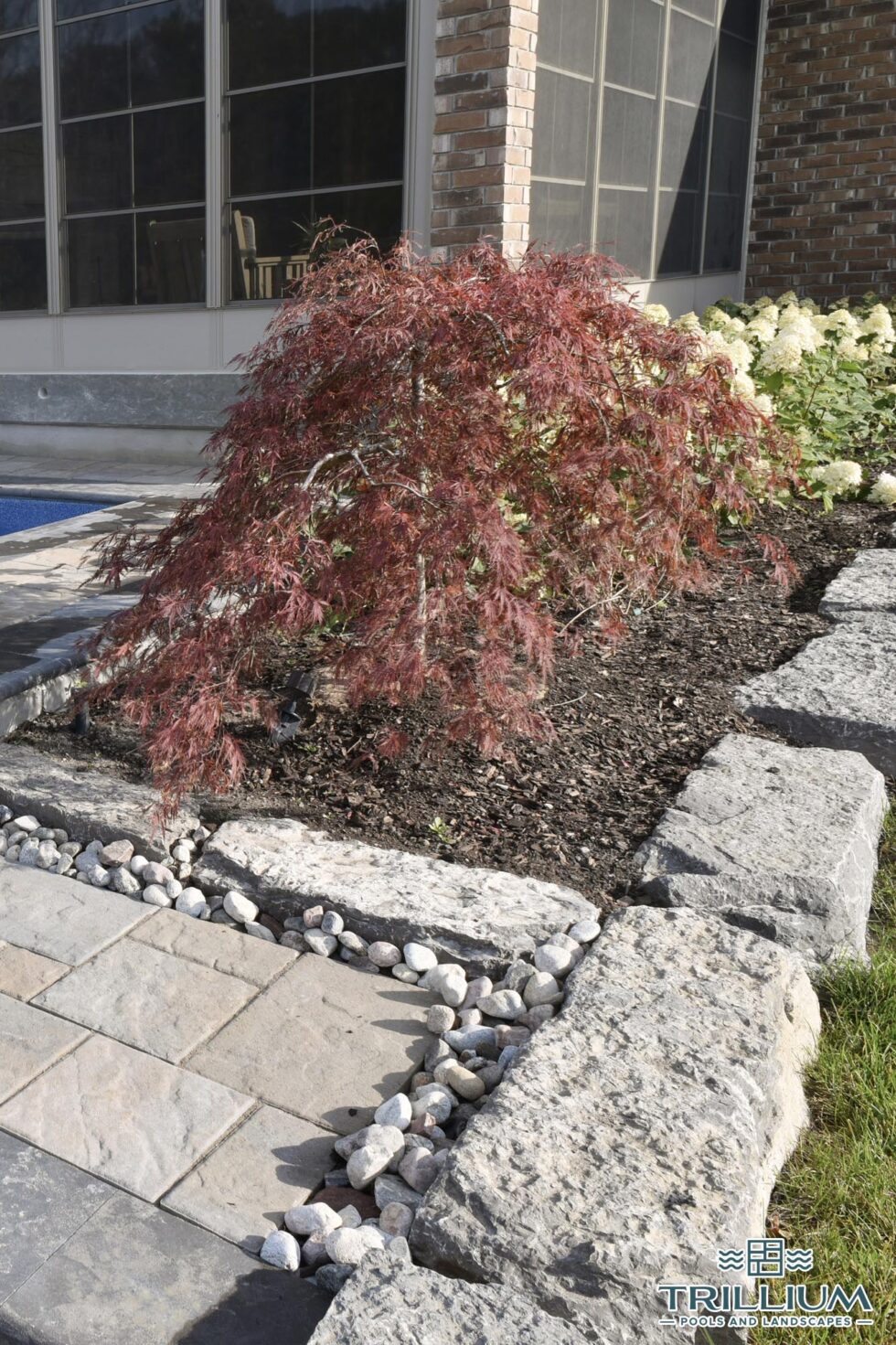 Trillium Pools and Landscapes - Pool and Patio