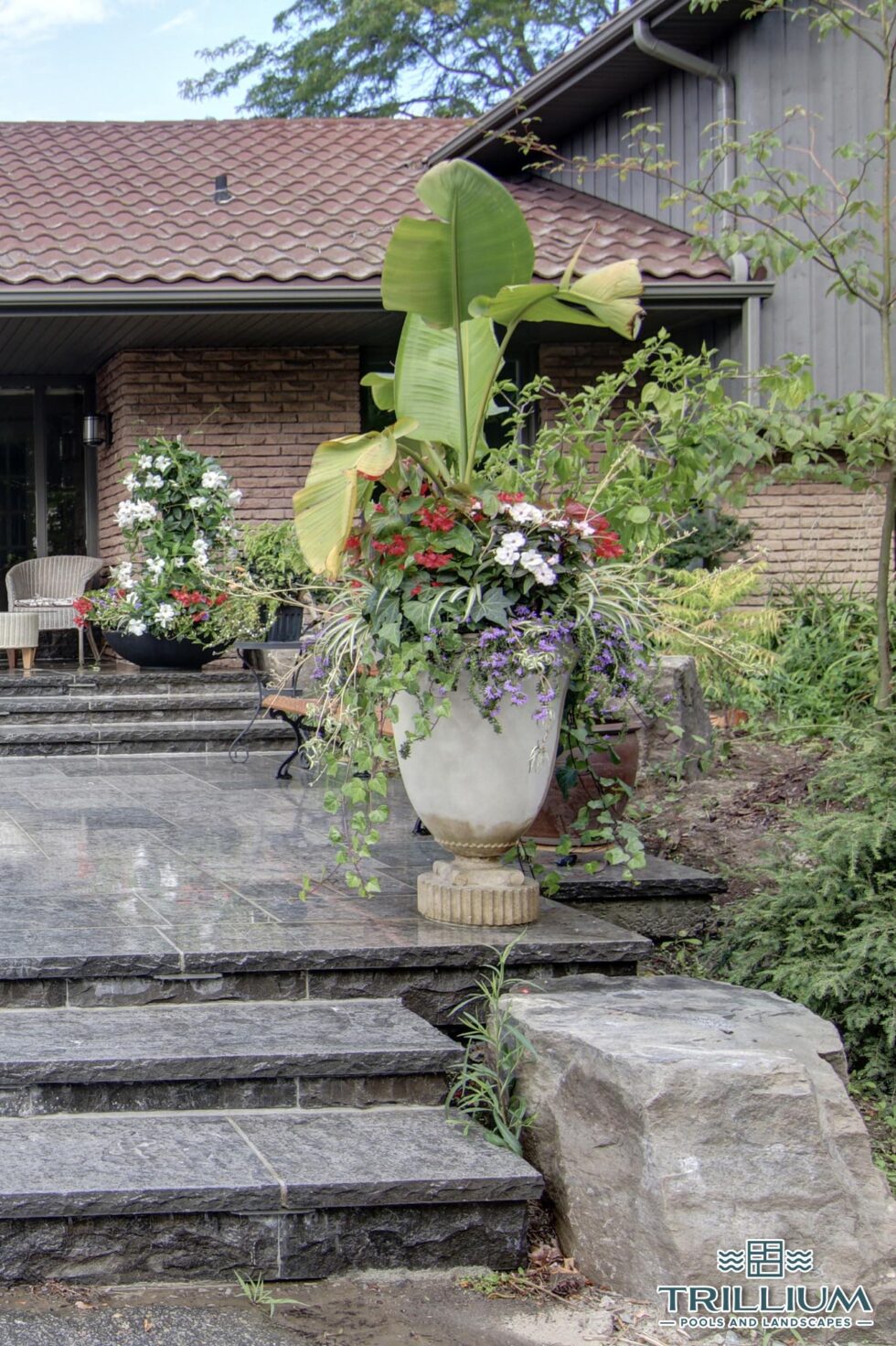 Trillium Pools and Landscapes - Pool and Patio