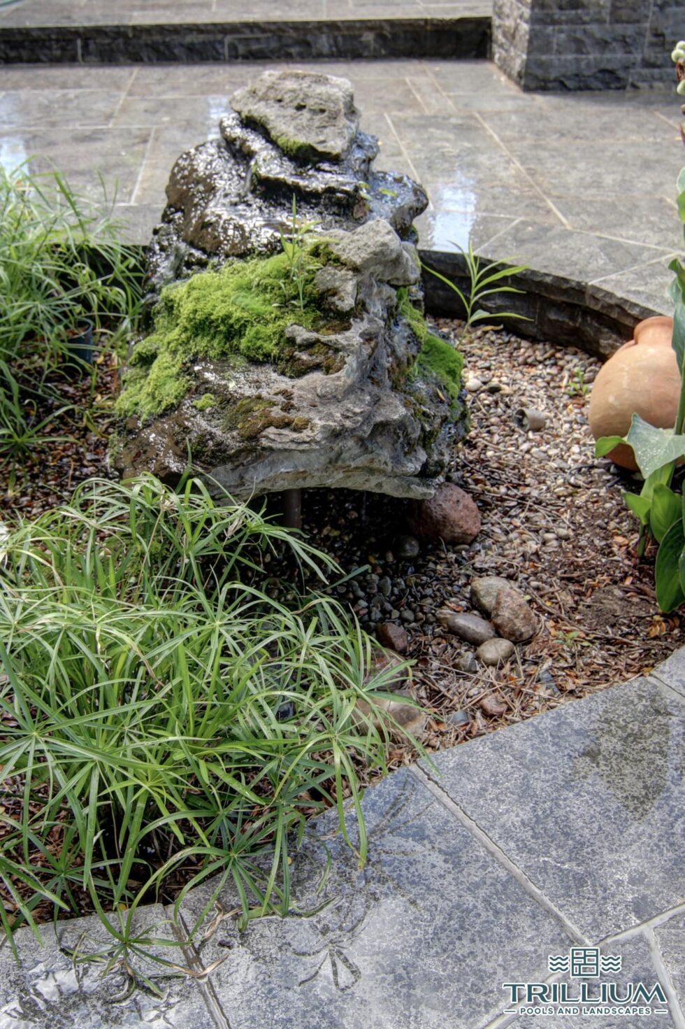 Trillium Pools and Landscapes - Pool and Patio