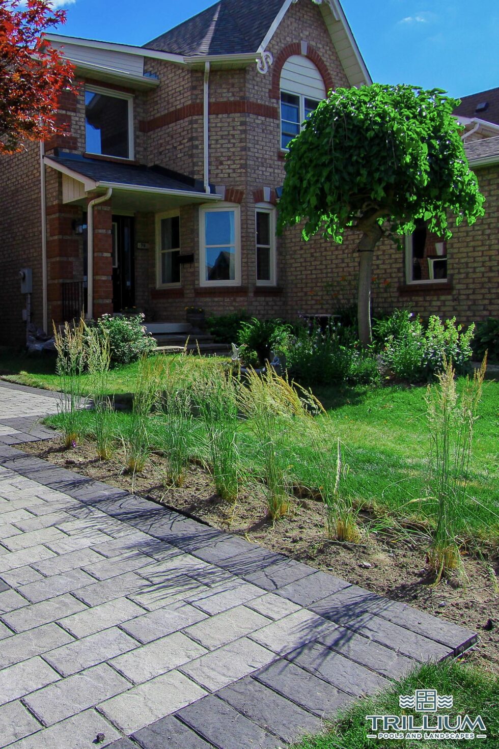 Trillium Pools and Landscapes - Pool and Patio