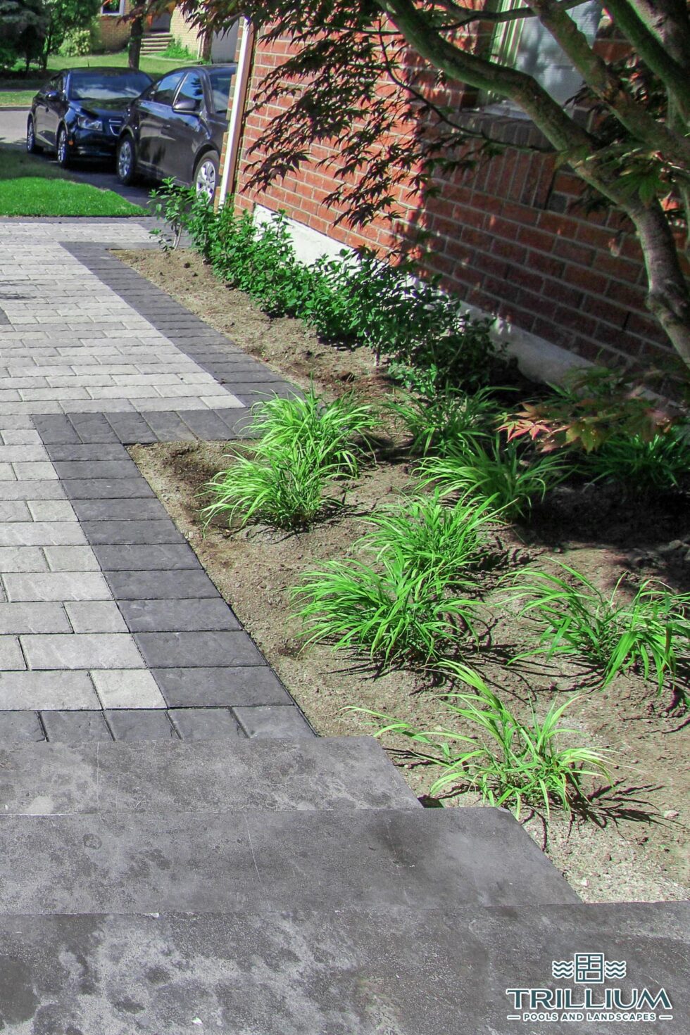 Trillium Pools and Landscapes - Pool and Patio