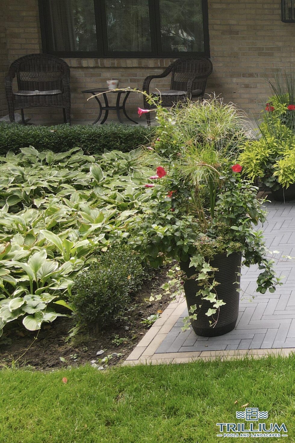 Trillium Pools and Landscapes - Pool and Patio