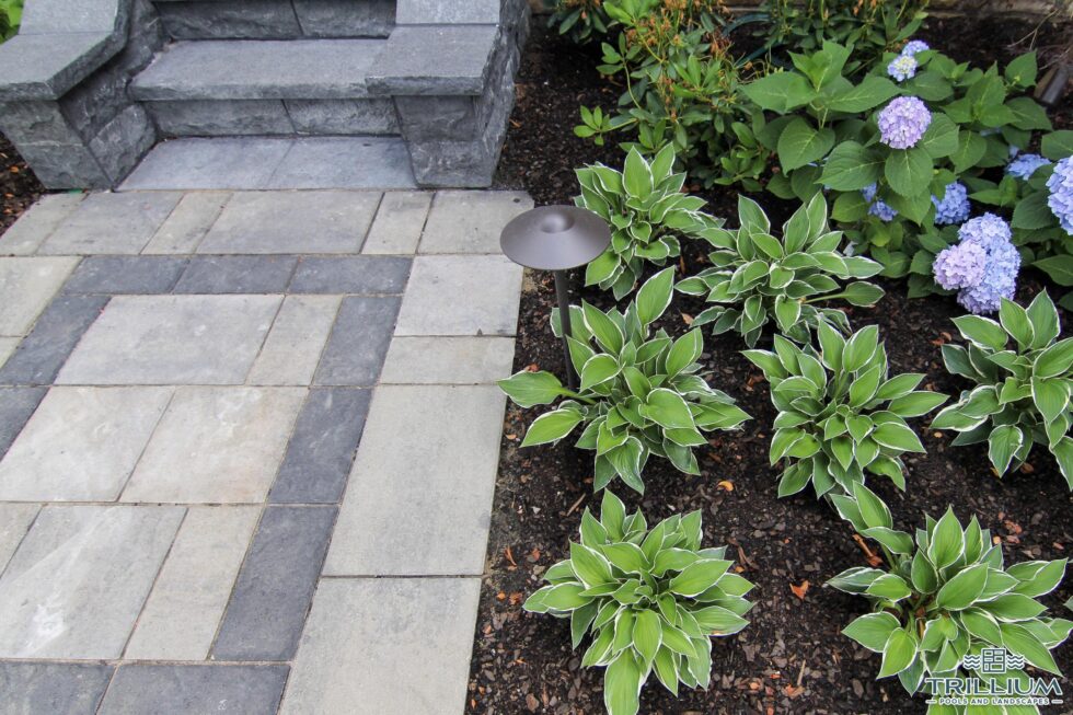 Trillium Pools and Landscapes - Pool and Patio