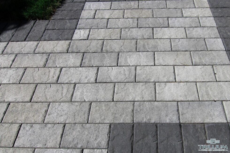 Trillium Pools and Landscapes - Pool and Patio