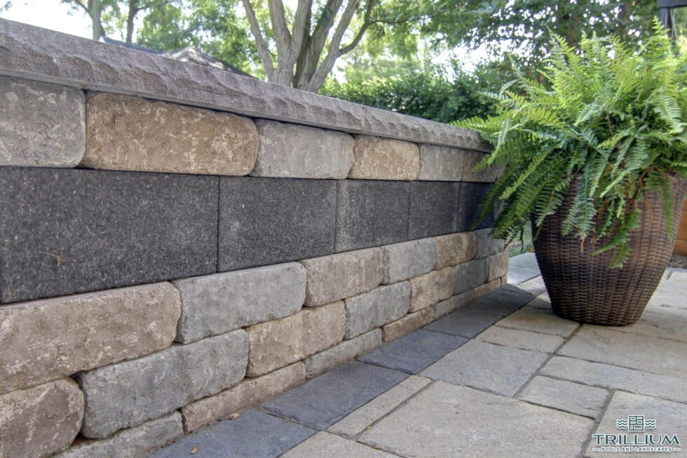 Trillium Pools and Landscapes - Pool and Patio