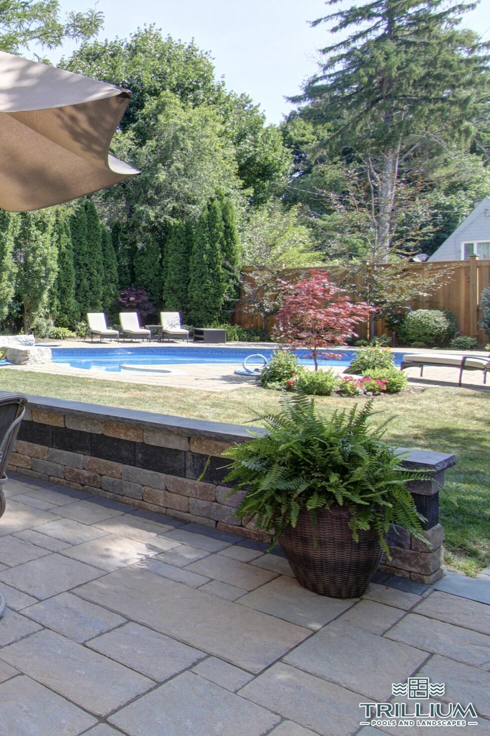 Trillium Pools and Landscapes - Pool and Patio