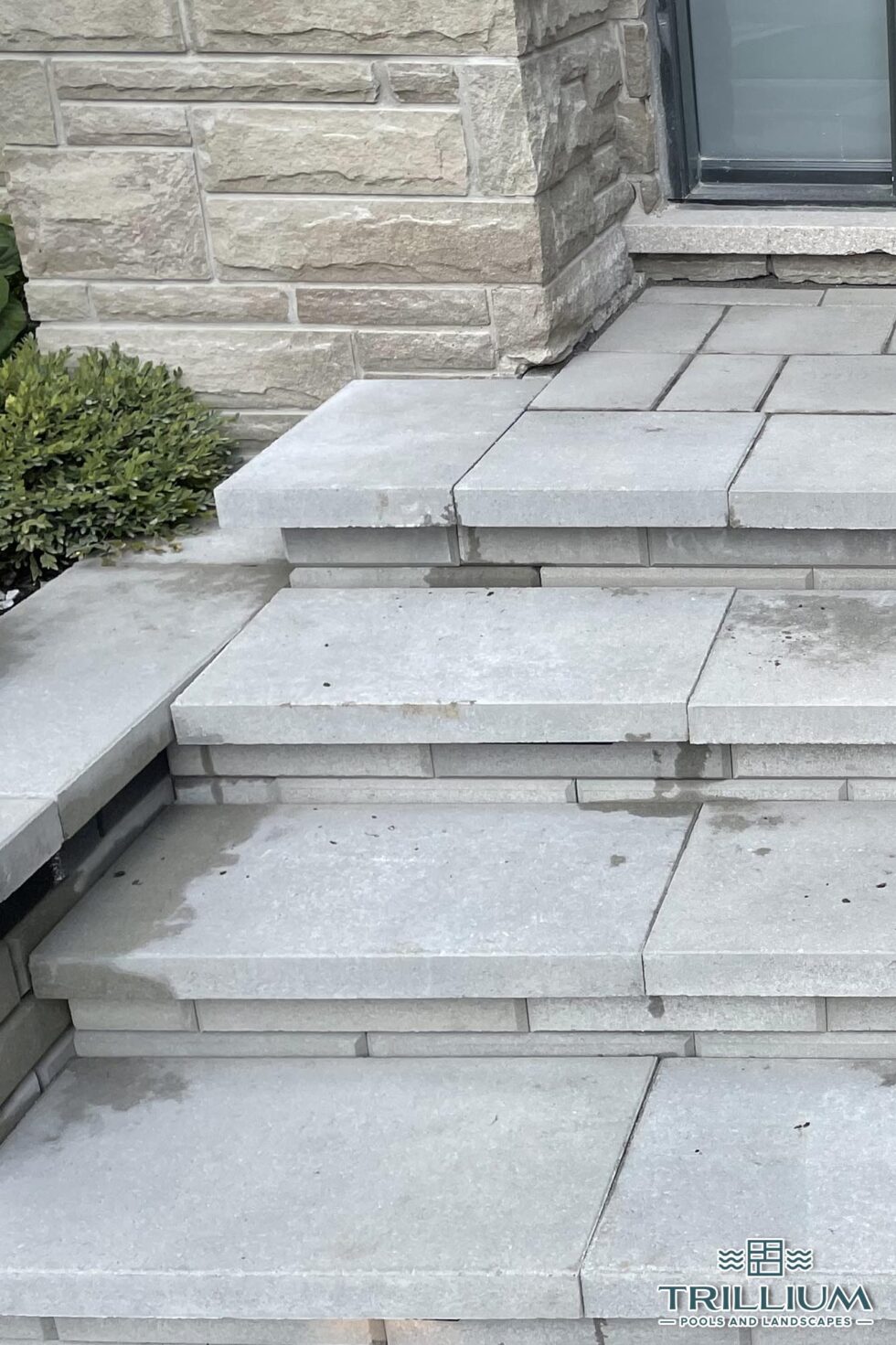 Trillium Pools and Landscapes - Pool and Patio