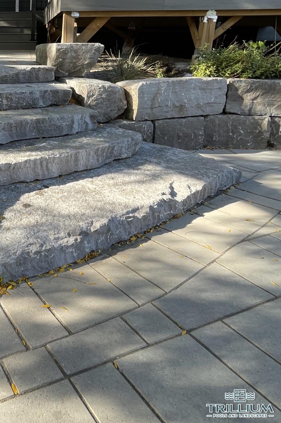 Trillium Pools and Landscapes - Pool and Patio