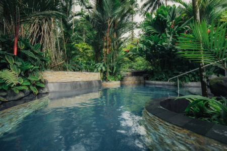 Trillium Pools and Landscapes - Pool and Patio